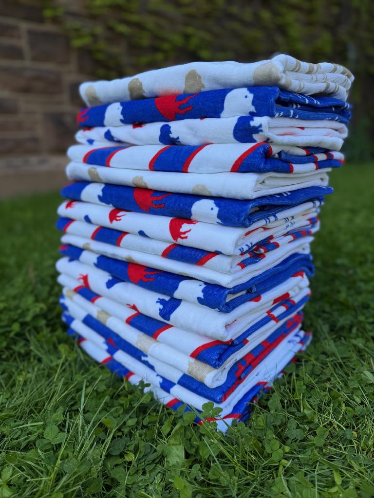 Buffalo Themed Beach TOWEL