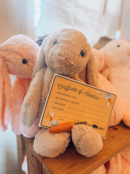 Adopt-a-Bunny Plush (Includes Adoption Certificate and Carrot)