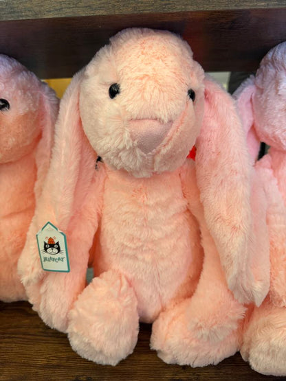 Adopt-a-Bunny Plush (Includes Adoption Certificate and Carrot)